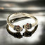 Birthstone of January