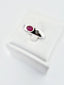 Ruby Eye Band