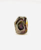 Abalone Radiant