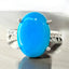 Robins Egg Turquoise Oval and Zircons