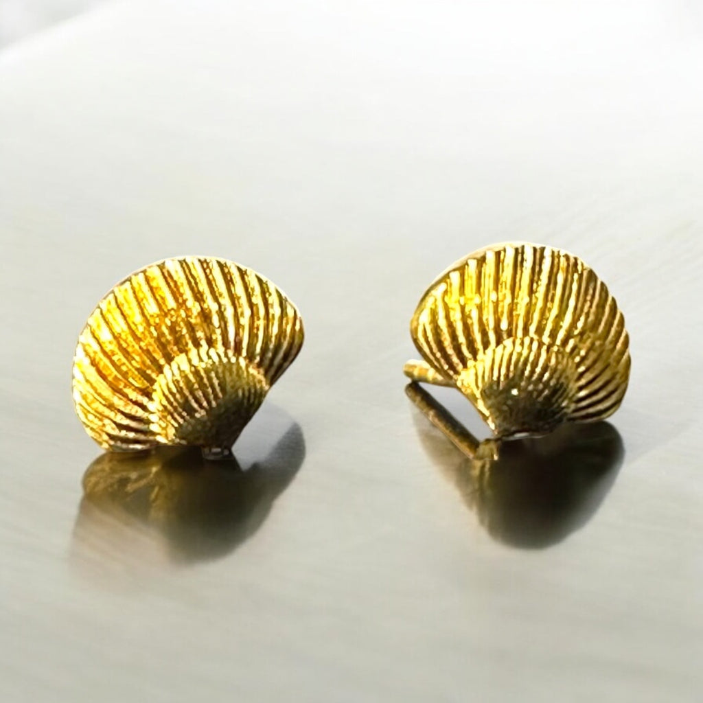 Seashell
